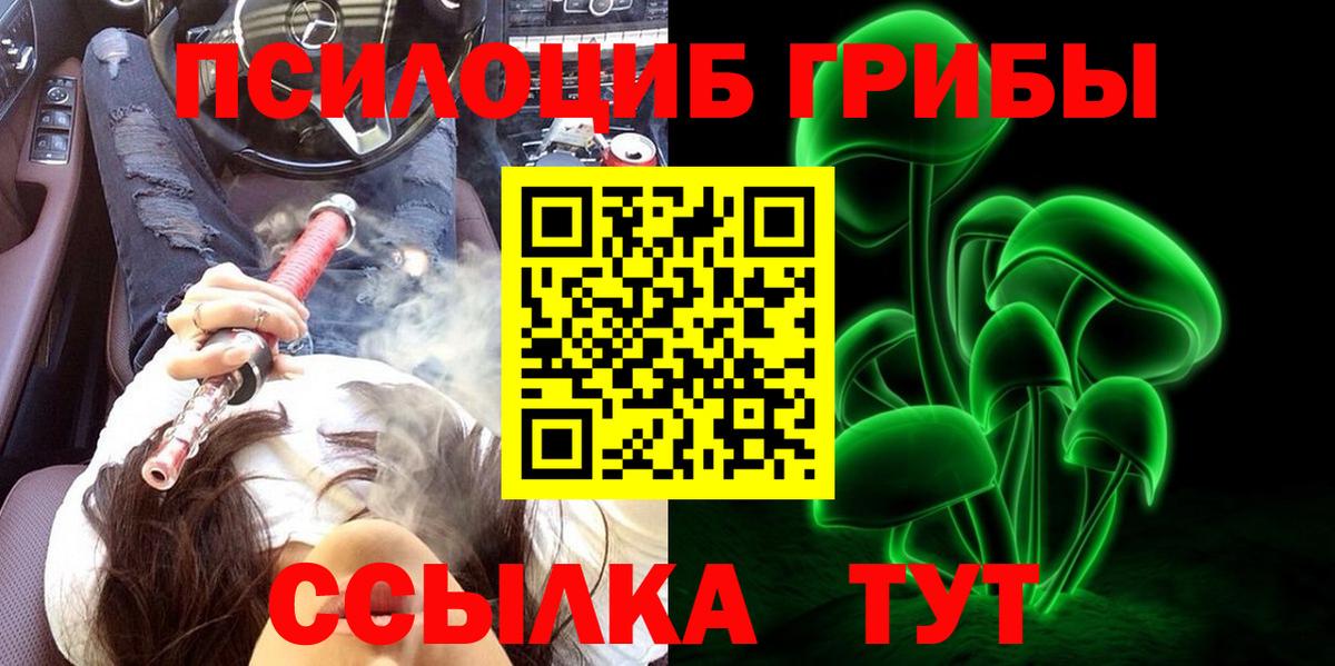 Псилоцибиновые грибы Cubensis  Псилоцибиновые грибы прущие грибы  Медногорск  Вход с VPN 