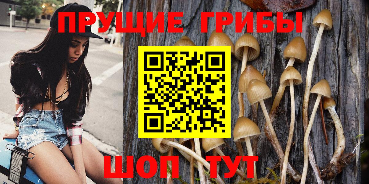 Псилоцибиновые грибы мицелий Медногорск